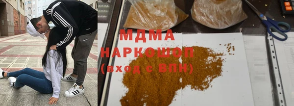 молекула духа Богданович