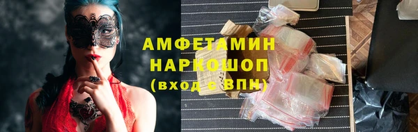 молекула духа Богданович