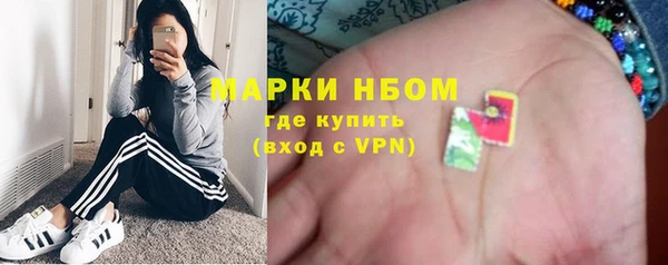 молекула духа Богданович