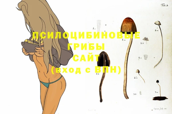 гашик Богородицк