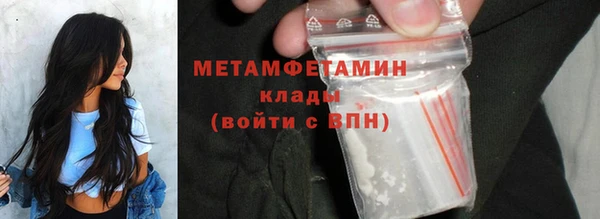 молекула духа Богданович