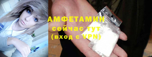 молекула духа Богданович