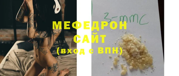 молекула духа Богданович