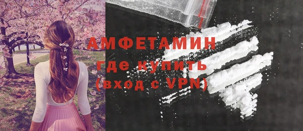 молекула духа Богданович