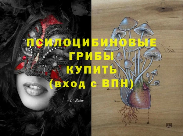 молекула духа Богданович