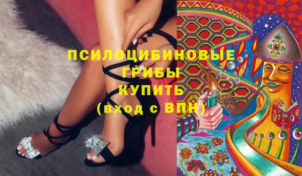 гашик Богородицк