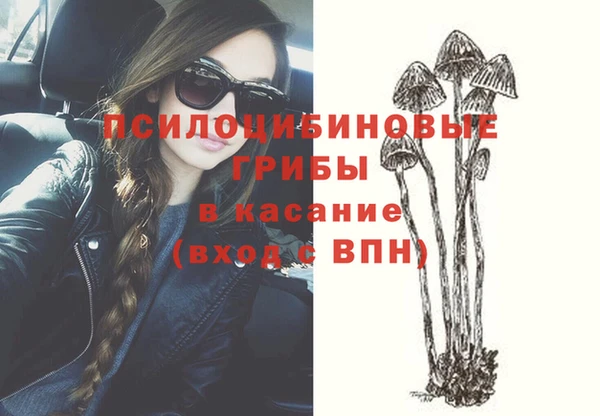 прущие грибы Беломорск