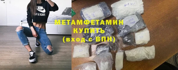 молекула духа Богданович
