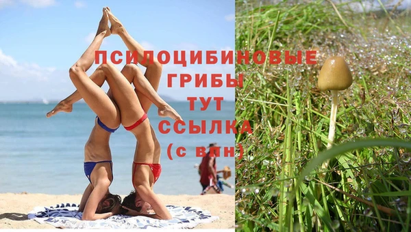 гашик Богородицк