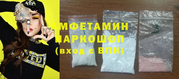 молекула духа Богданович
