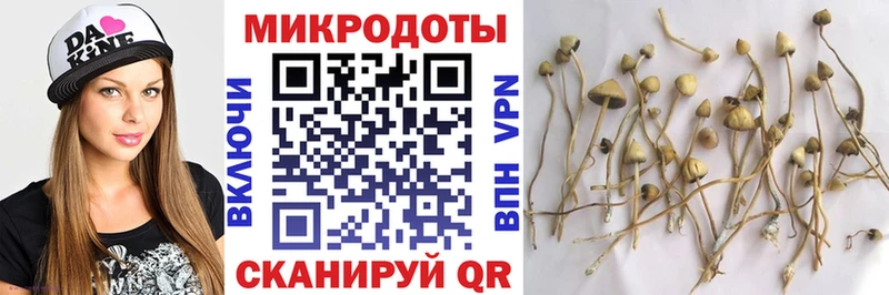 мега как войти Горно-Алтайск Псилоцибиновые грибы MAGIC MUSHROOMS нарко площадка как зайти купить наркотик